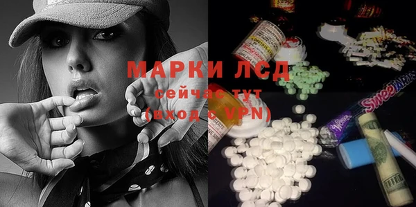 дживик Гусь-Хрустальный