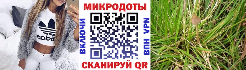 Псилоцибиновые грибы MAGIC MUSHROOMS  гидра зеркало  Оренбург 
